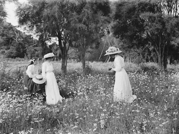 Three women in vintage clothing explore a field of wildflowers, surrounded by tall trees. One woman stands holding an object, while the other two kneel among the flowers. The scenery is serene, set in a lush, peaceful natural environment.