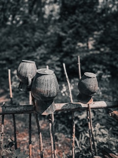 Three wooden pots are placed upside down on a rustic wooden fence outdoors. The background consists of dense greenery, creating a natural and earthy atmosphere.