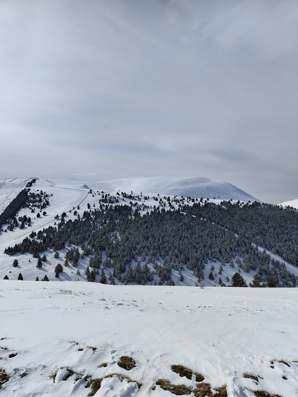 a snow covered mountain with trees on top of it