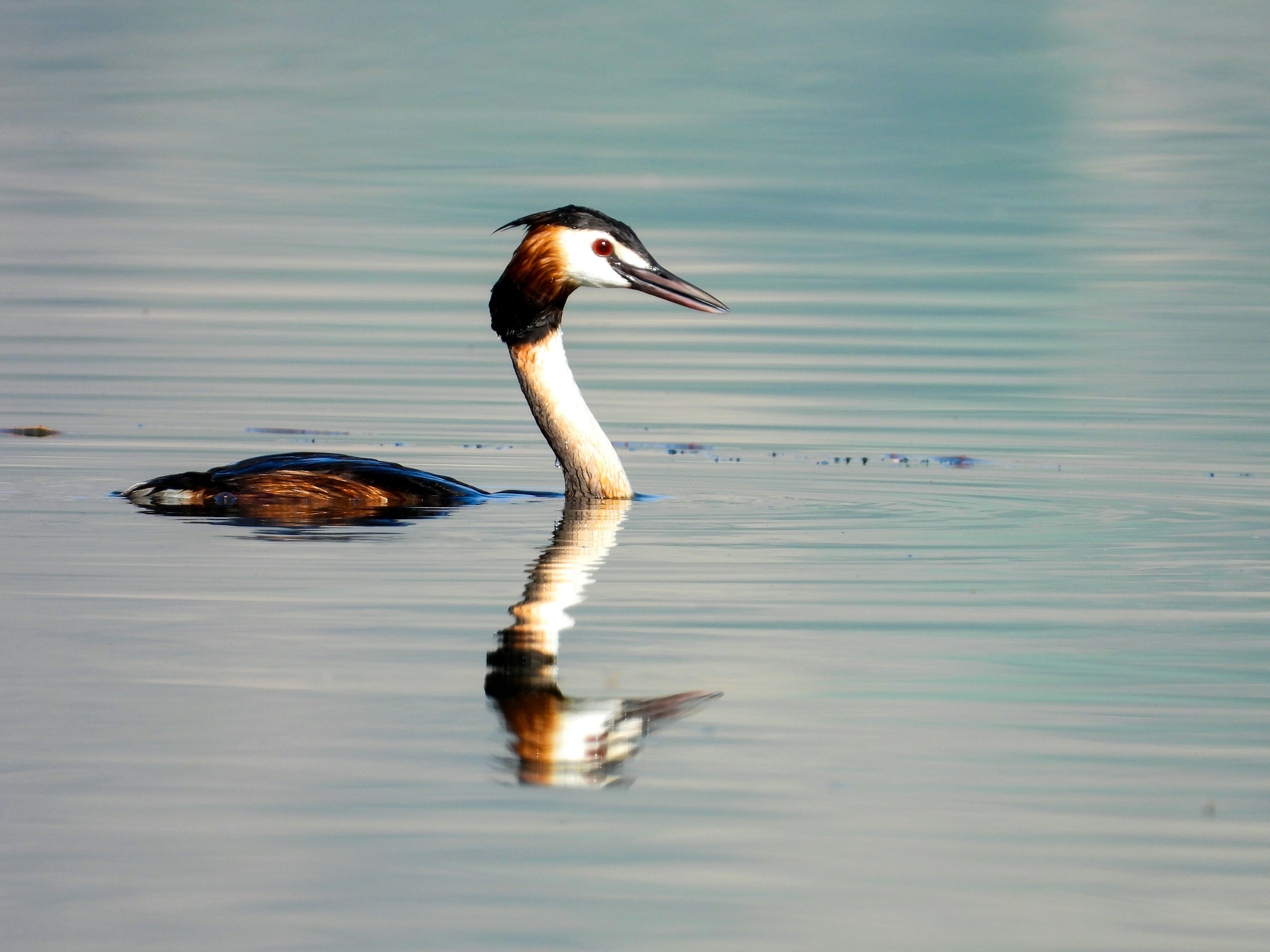 Photo by aliarjmandi