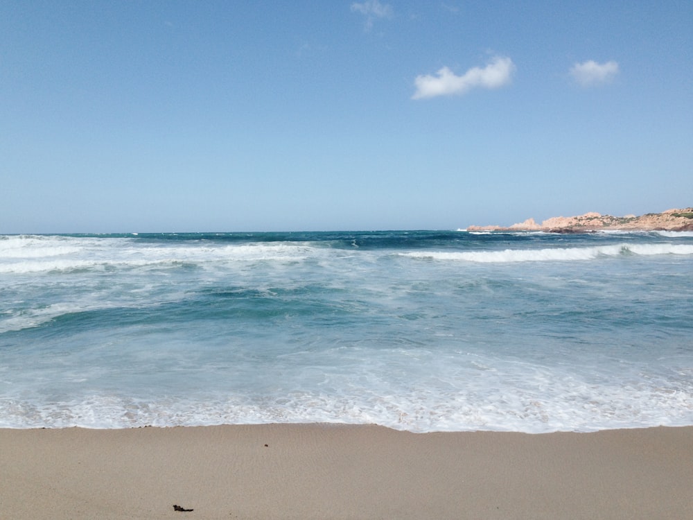 a bird standing on a beach next to the ocean