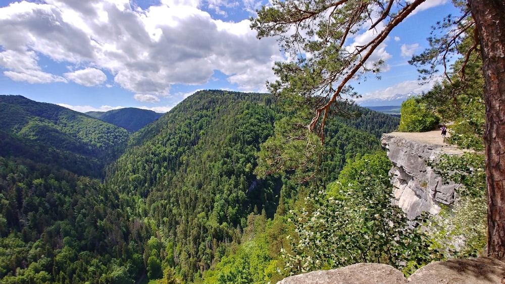 uma vista panorâmica de um vale cercado por montanhas