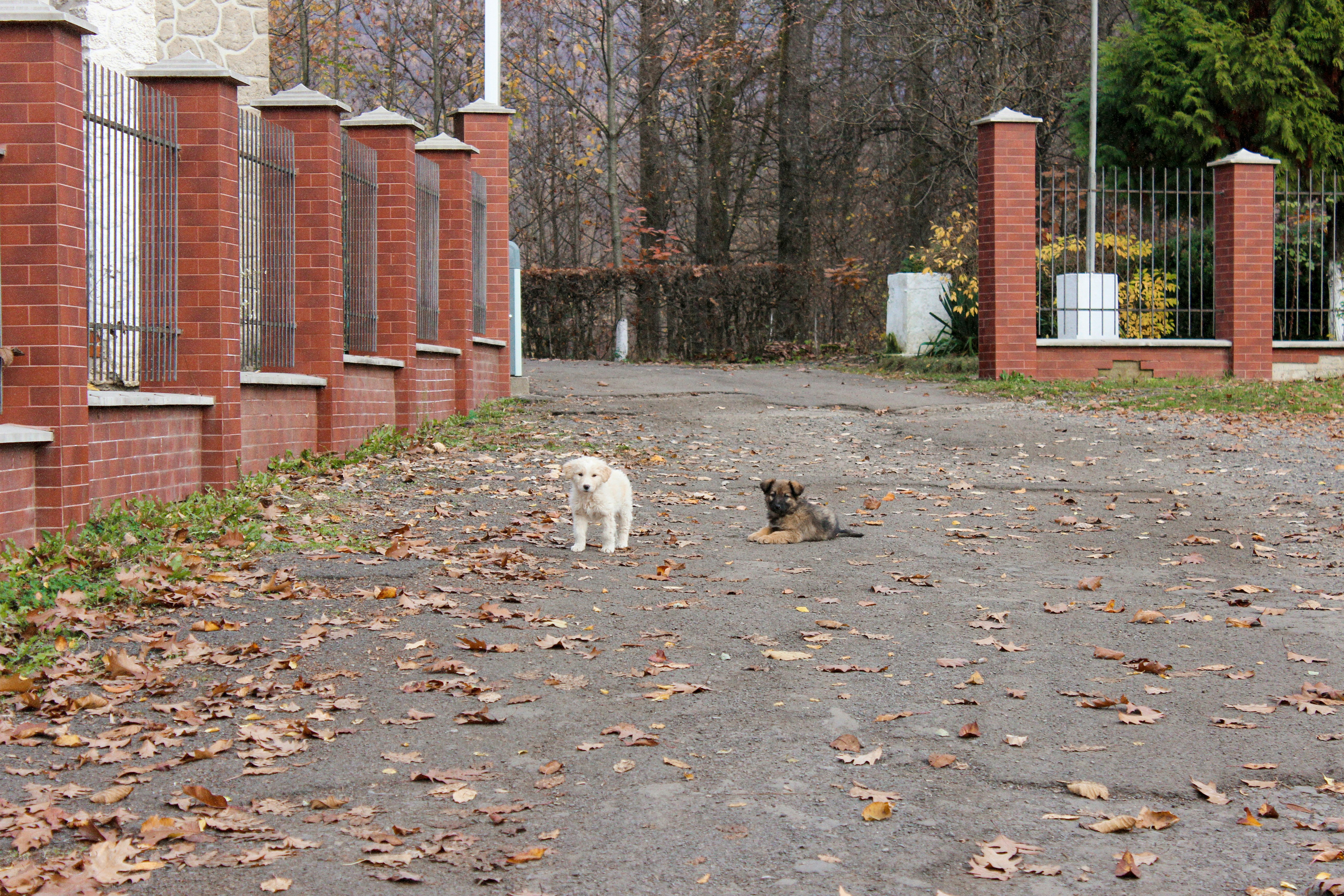 Navigational Confidence: Movement With Purpose