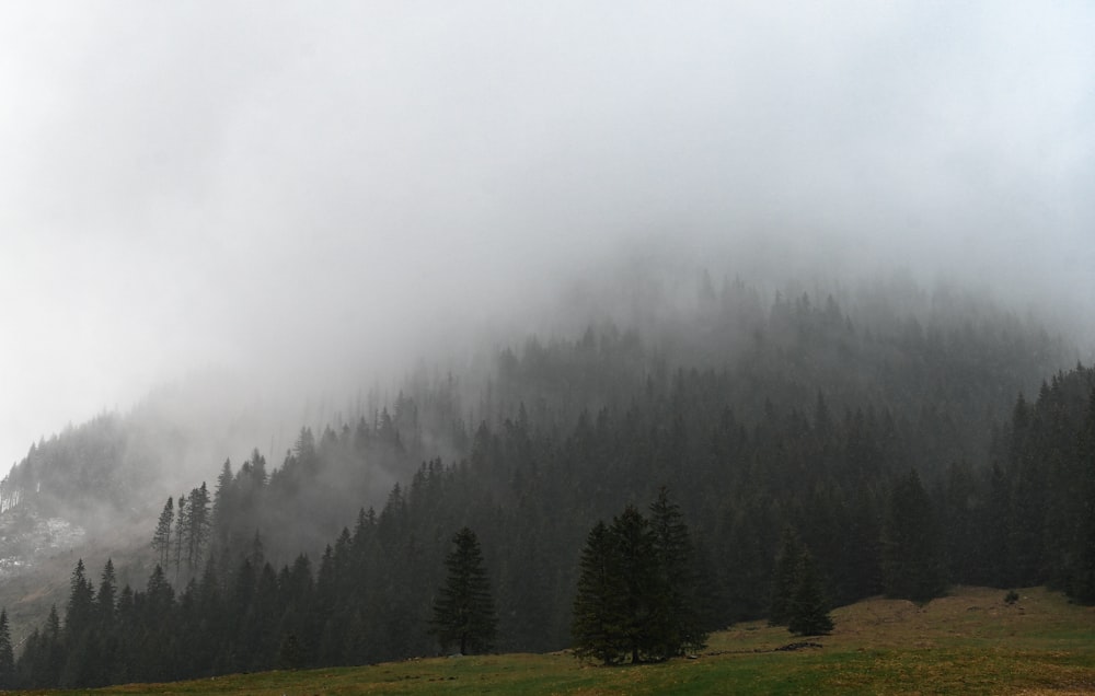 a mountain covered in fog and trees on a cloudy day