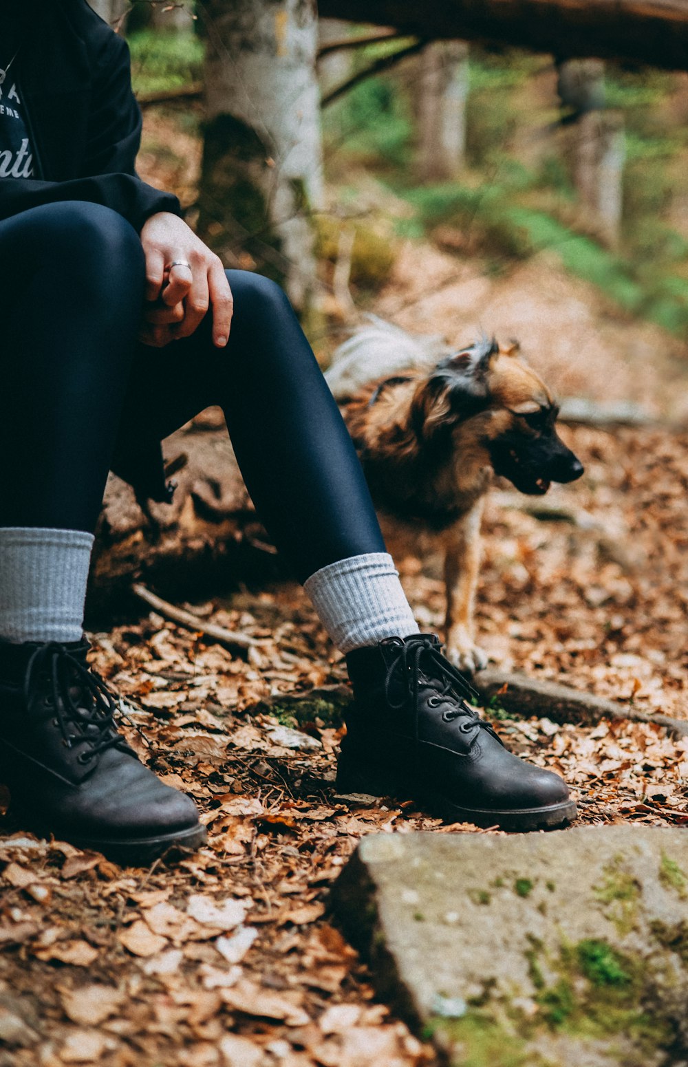 a person sitting on the ground next to a dog