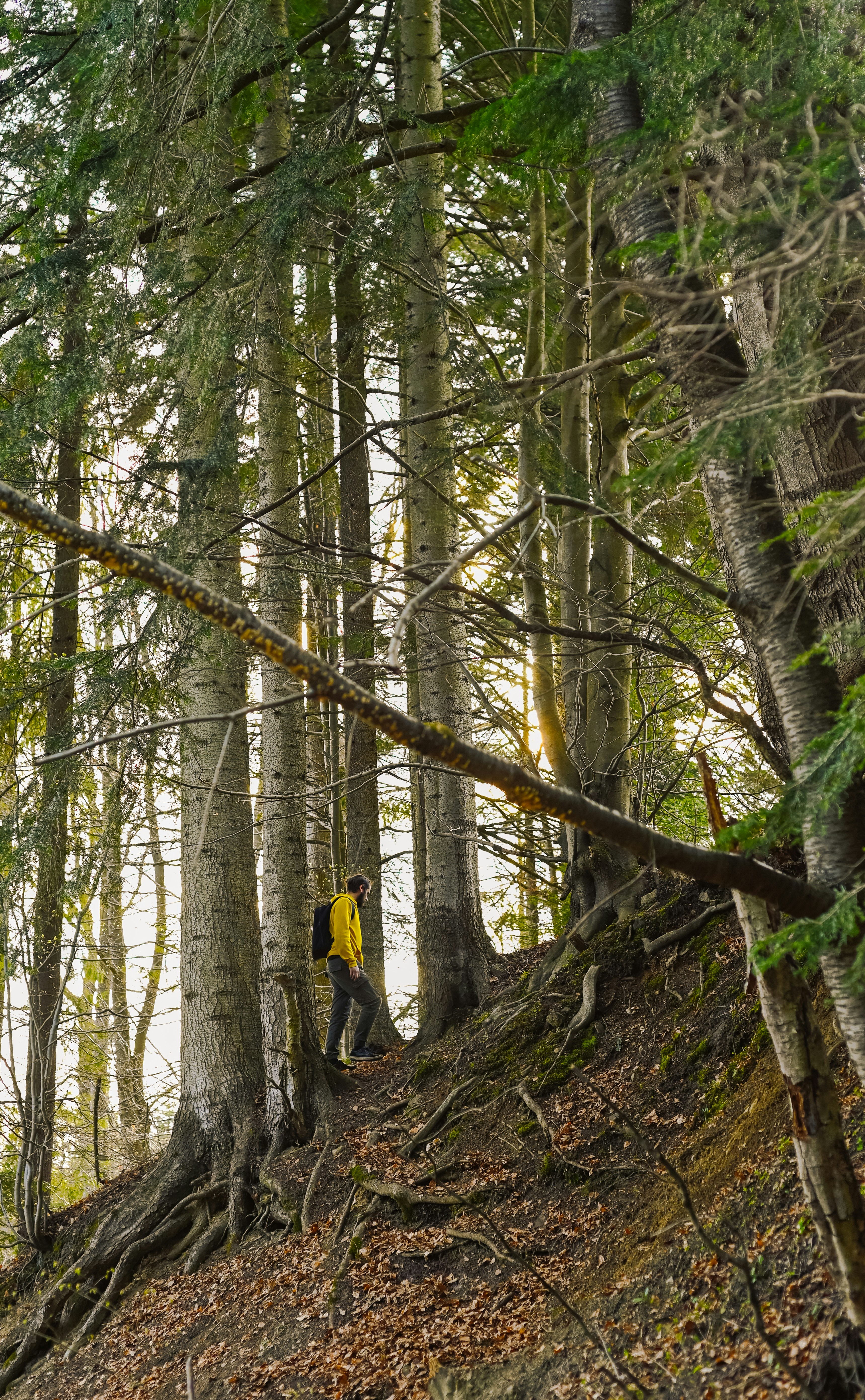 Ryvo Trailblazer Jacket