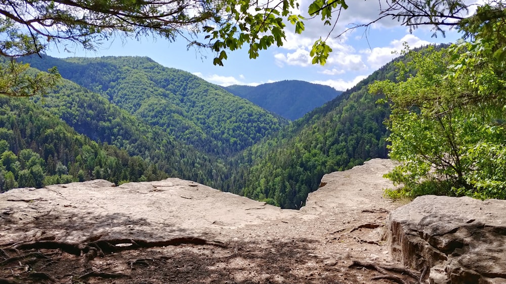 uma vista de um vale com montanhas ao fundo