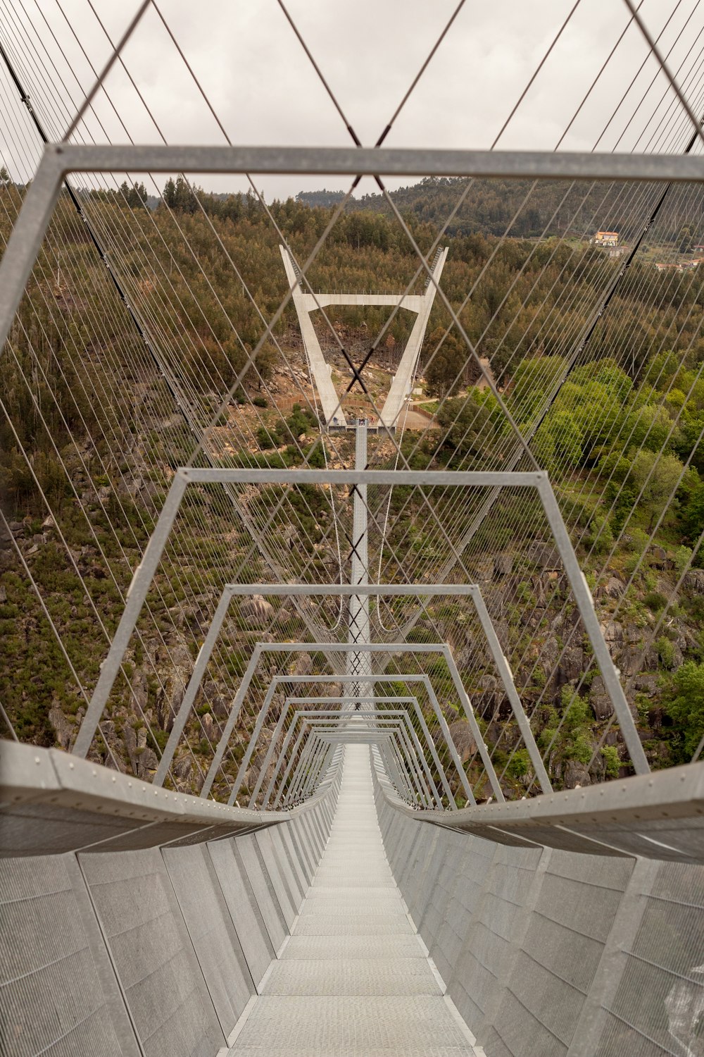 a view from the bottom of a suspension bridge
