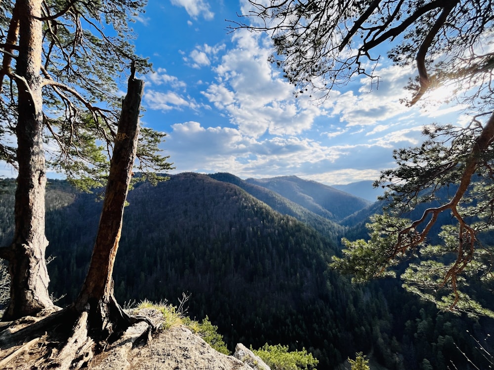 a view of the mountains from a high point of view