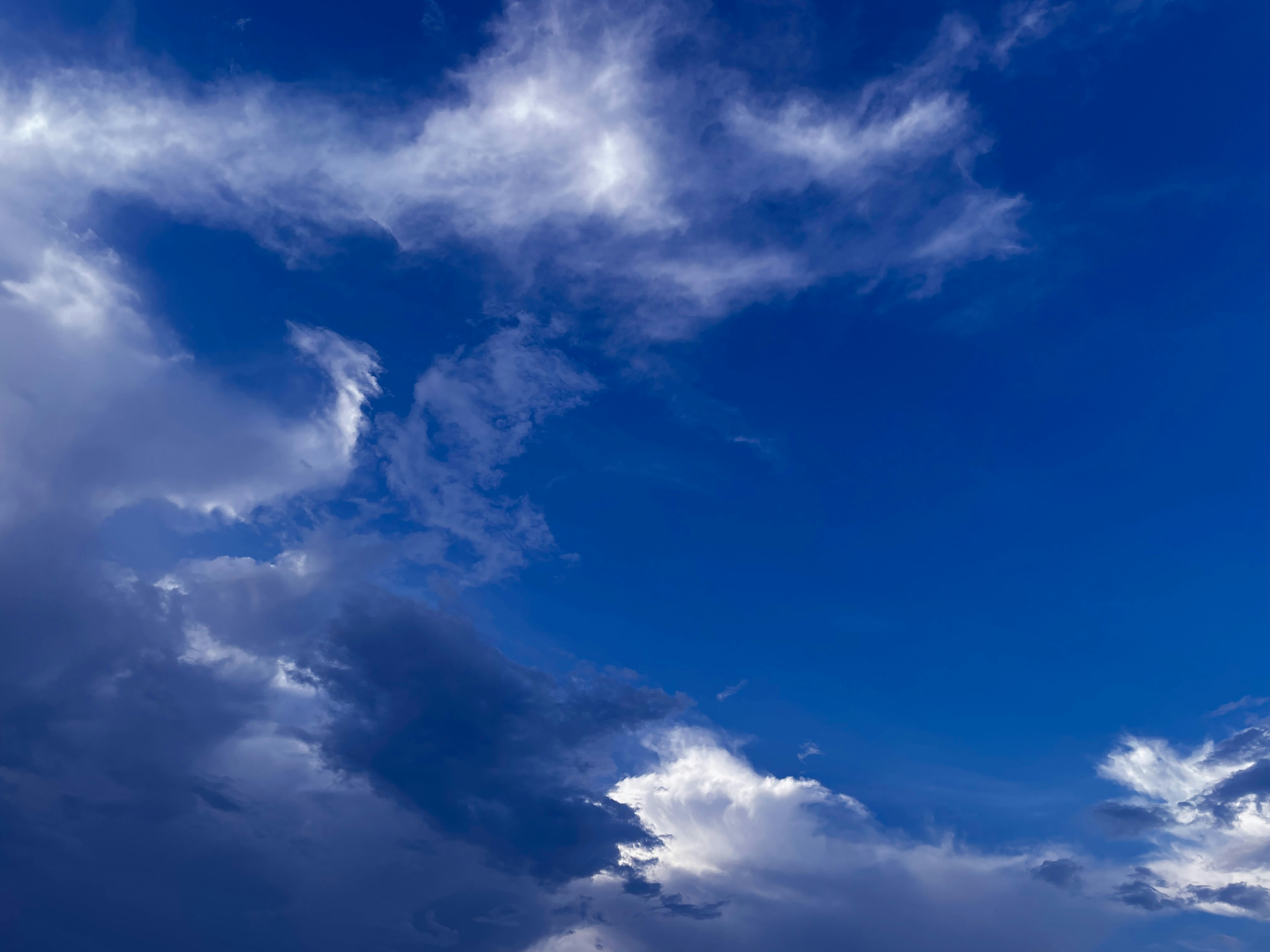 Photo by pineapplexpizza