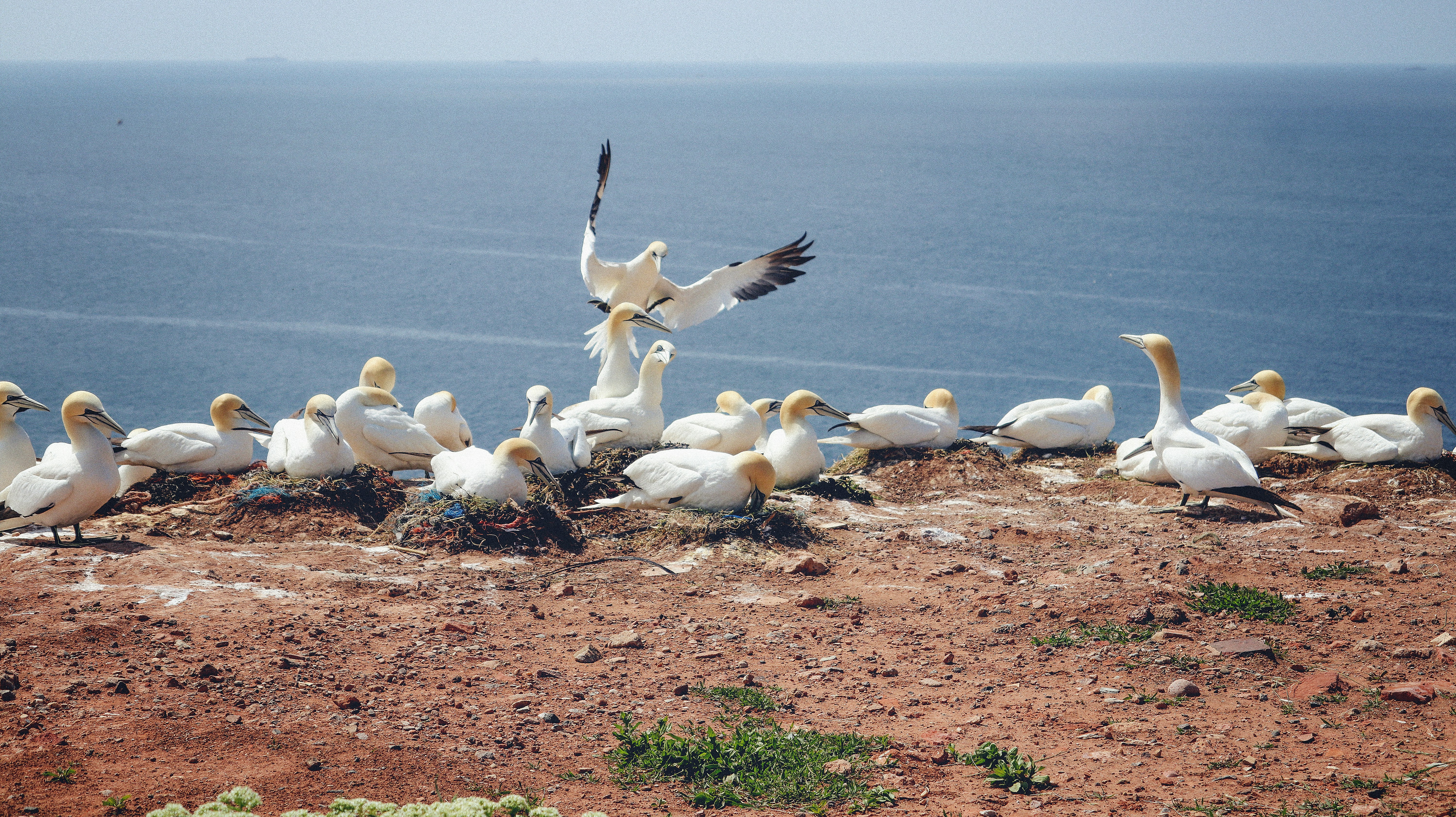 Photo by tolikrurac82