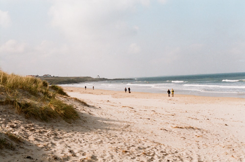 a group of people standing on top of a sandy beach