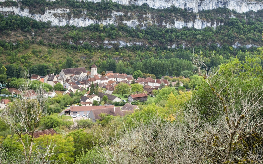 a small village nestled in a forested area