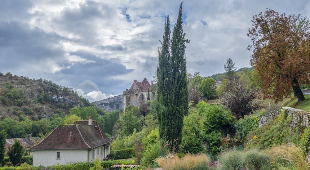 une maison sur une colline entourée d’arbres et de buissons