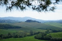 A panoramic view of a serene natural landscape with rolling hills and a bright sky.