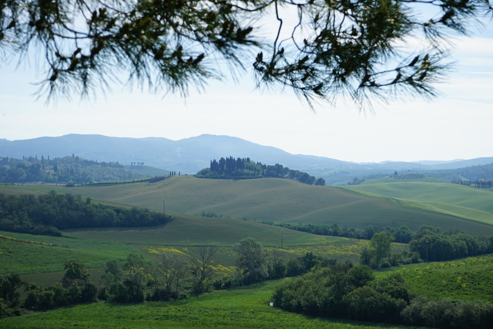 a lush green hillside with trees and hills in the background