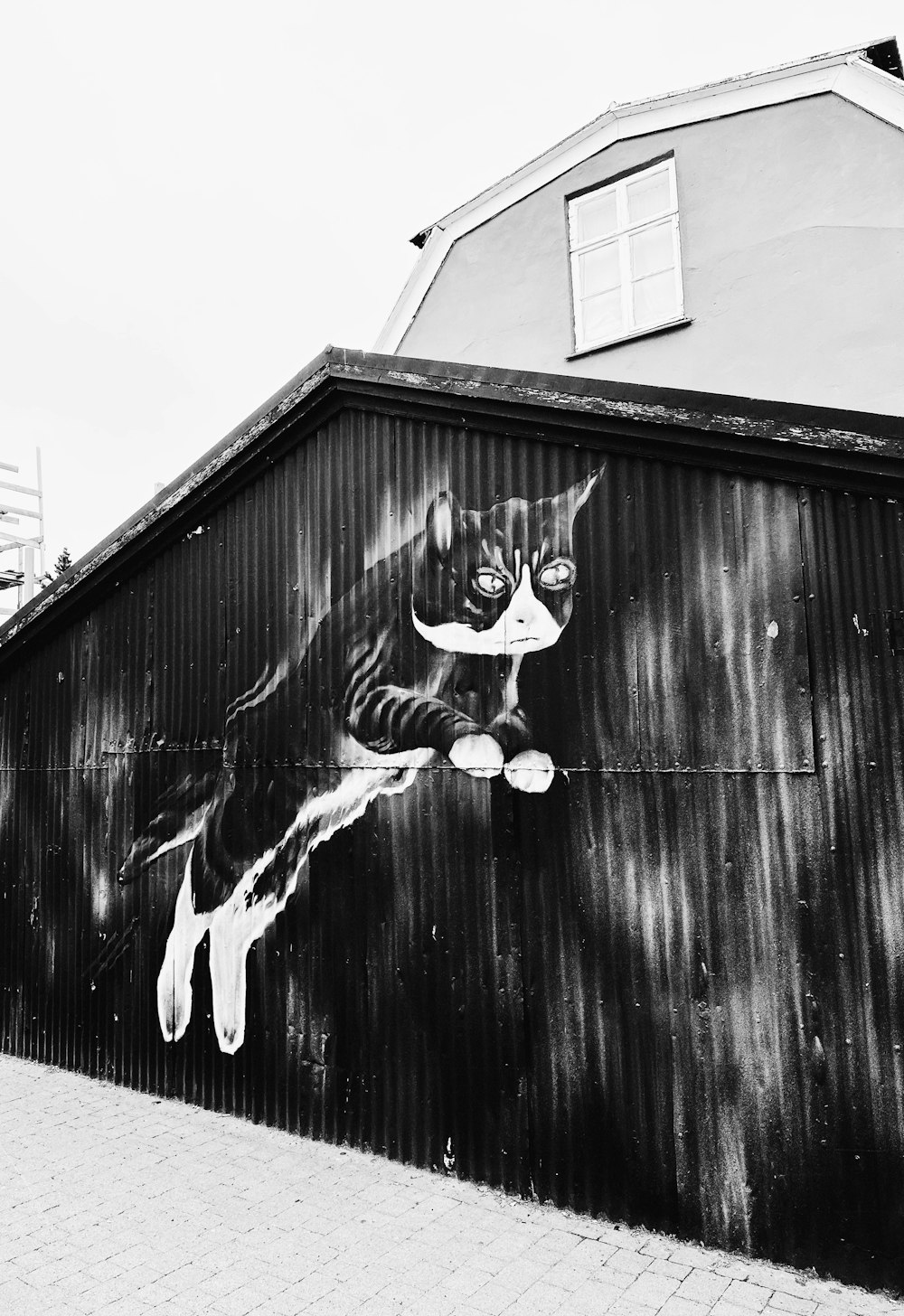 Une photo en noir et blanc d’un skateboarder sur un mur