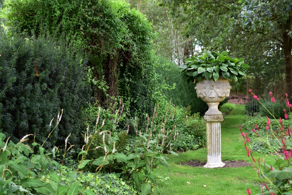 Un jardin rempli de plantes vertes