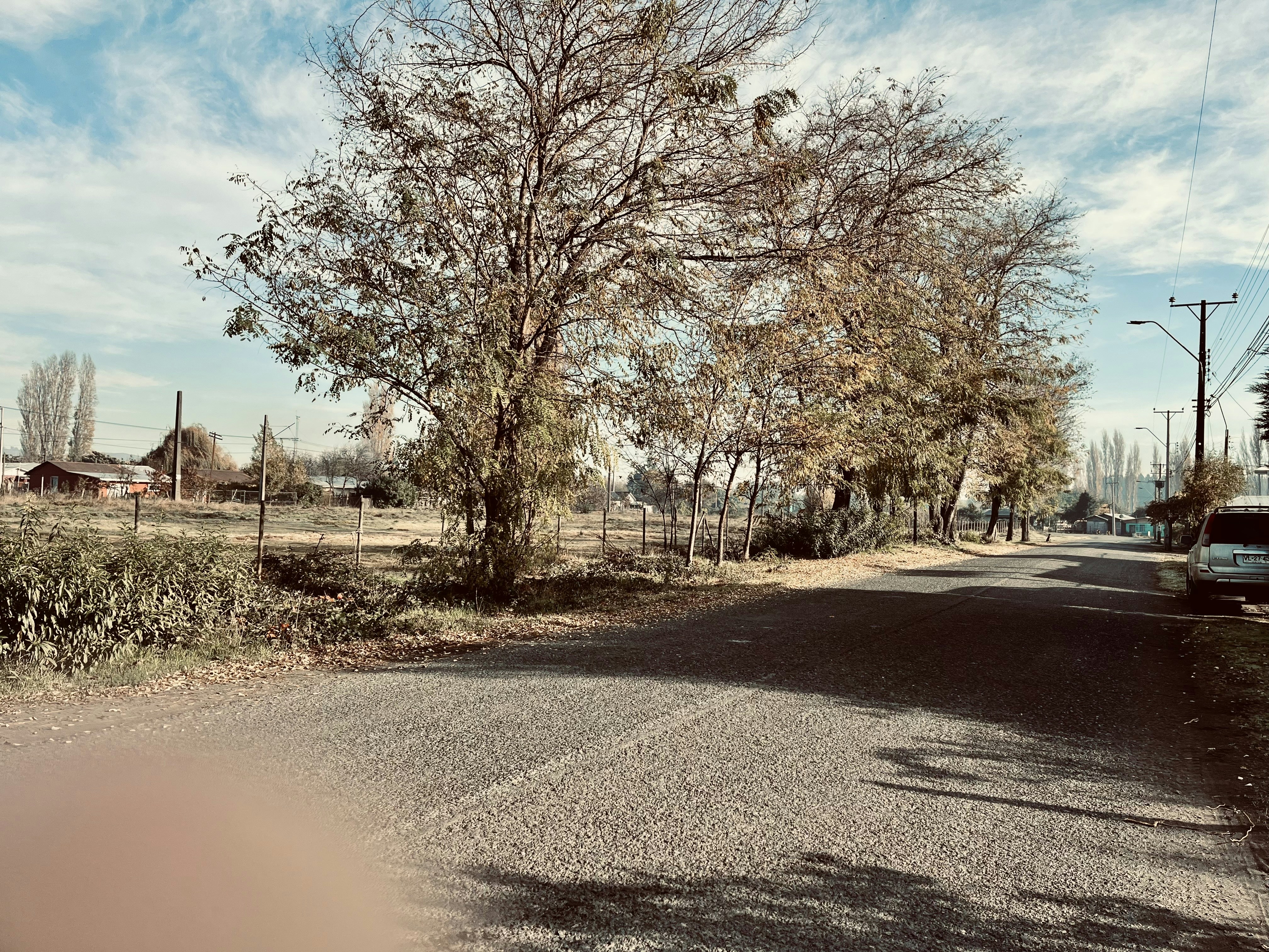 photo-1685714290081-2d5a898af0cf?ixid=M3wxMjA3fDB8MXxzZWFyY2h8Nnx8cmVibyUyMHdhdGNoZG9nJTIwYmFydGxlc3ZpbGxlfGVufDB8fHx8MTc1MzE5MzQzNnww\u0026ixlib=rb-4.1.0