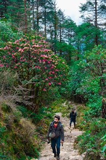 Two hikers are walking along a rocky forest path surrounded by lush green foliage and flowering trees. One hiker is ahead, with a determined expression, wearing a jacket and carrying a camera and backpack. The path is winding and slightly uphill, with vibrant pink flowers on a large bush to the side and tall trees in the background.