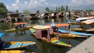 Colorful boats floating on the serene backwaters of Kerala at dawn.