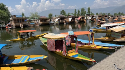 Colorful boats floating on the serene backwaters of Kerala at dawn.