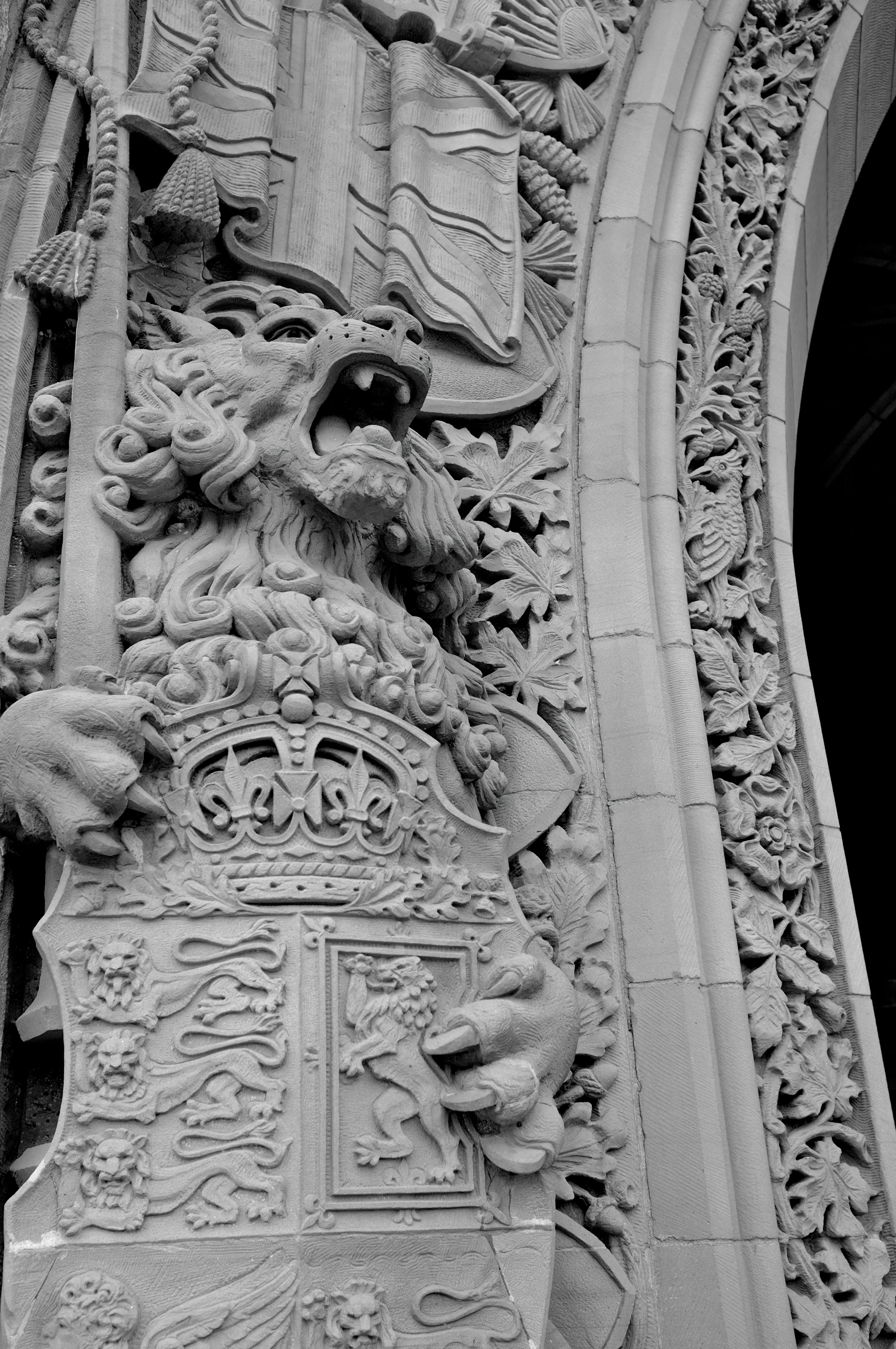 Photo by jonathankslim