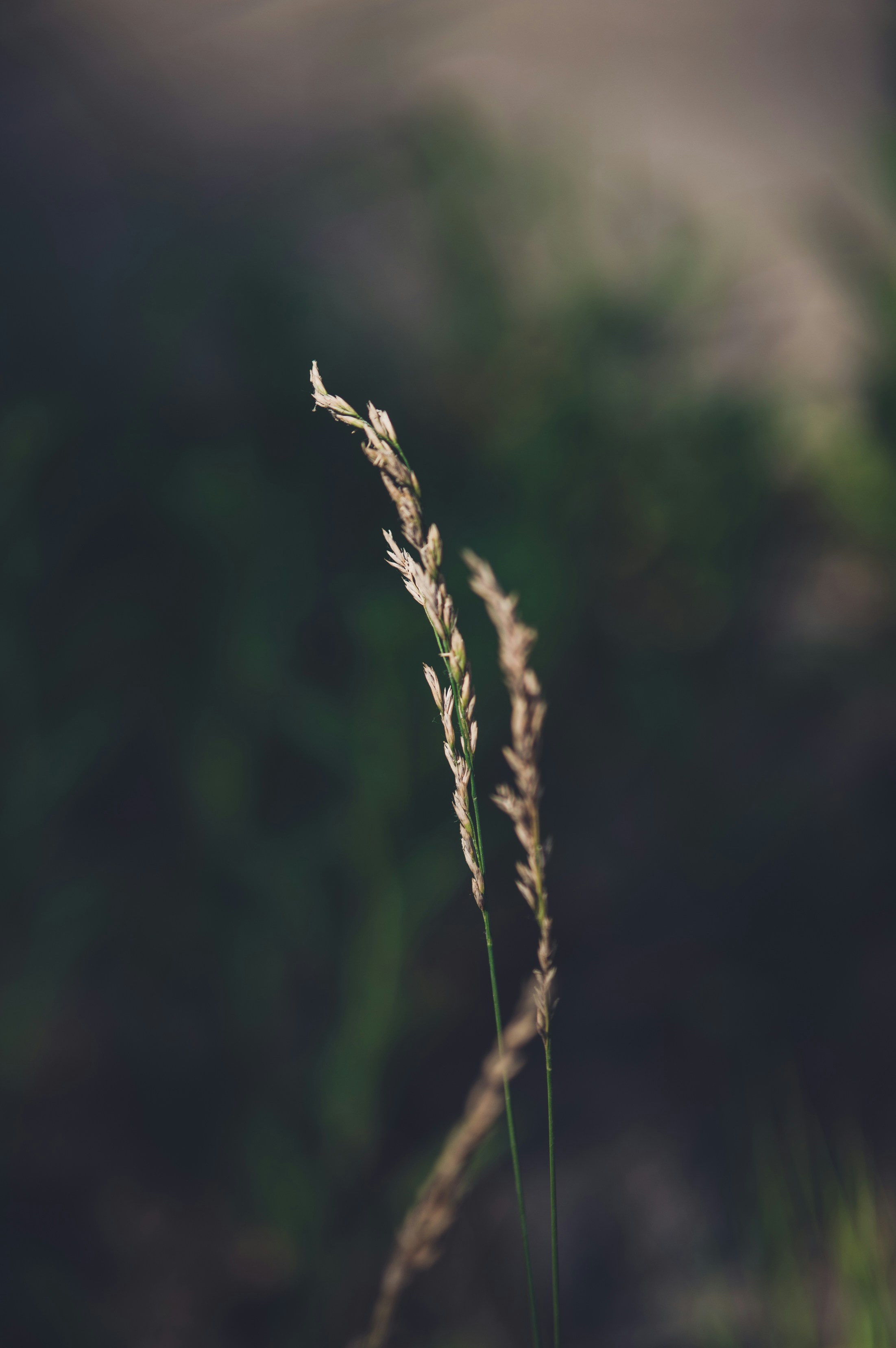 Photo by peek_a_boo_who