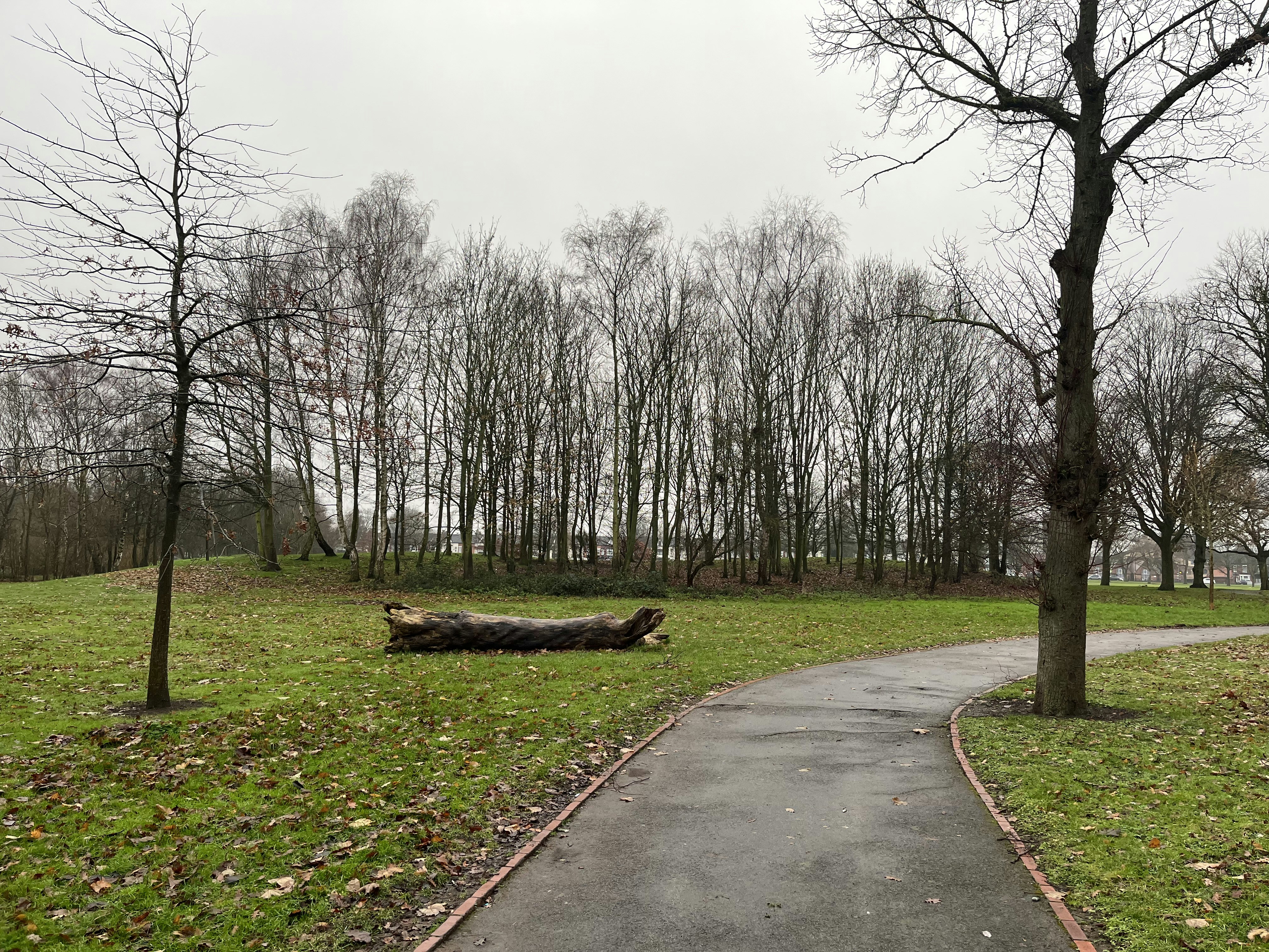 Linear Park