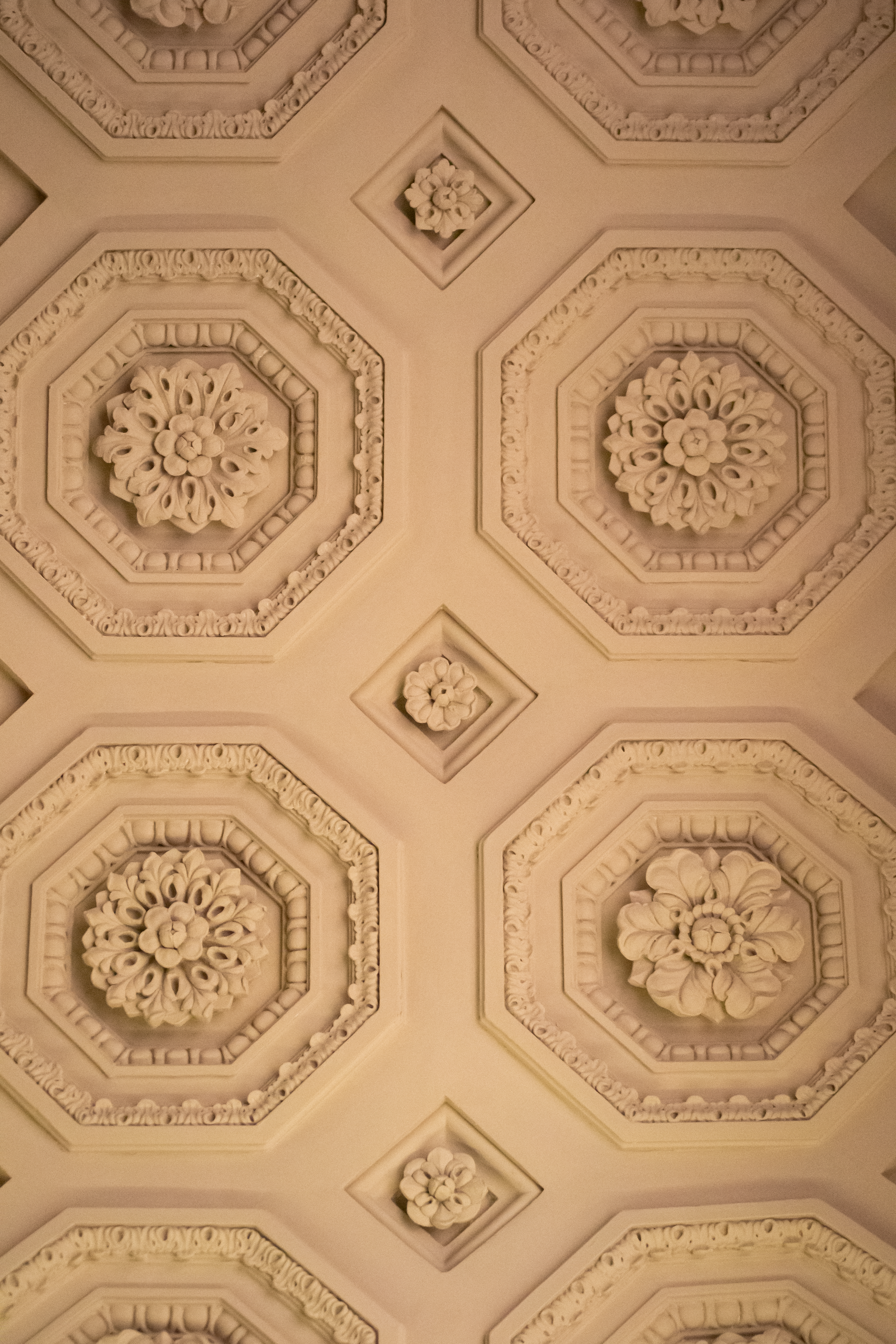 Photo by projectkeno