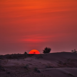 Sunset casting warm orange hues over a group of quads lined up on the sandy horizon.