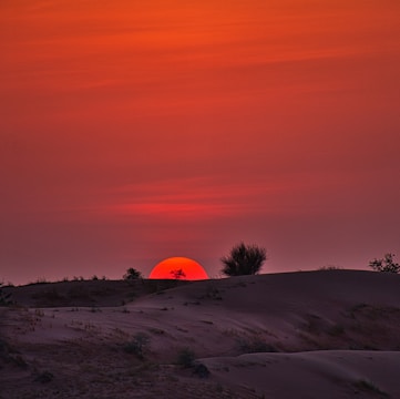 A vibrant sunset over the sandy dunes of the Thar Desert