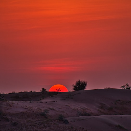 A vibrant sunset over the golden dunes of the Wahiba Sands desert in Oman.