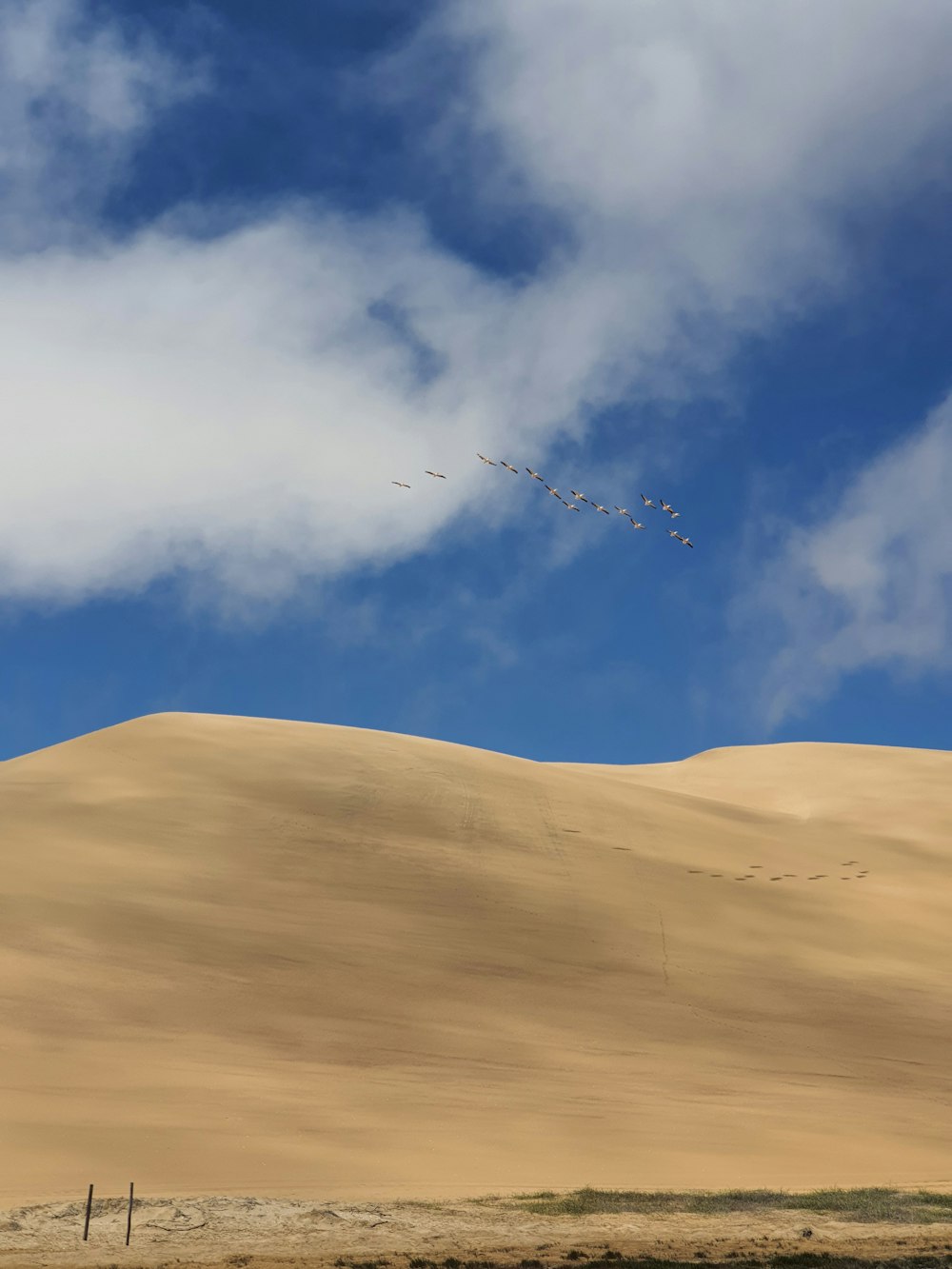 Uno stormo di uccelli che volano su una grande duna di sabbia