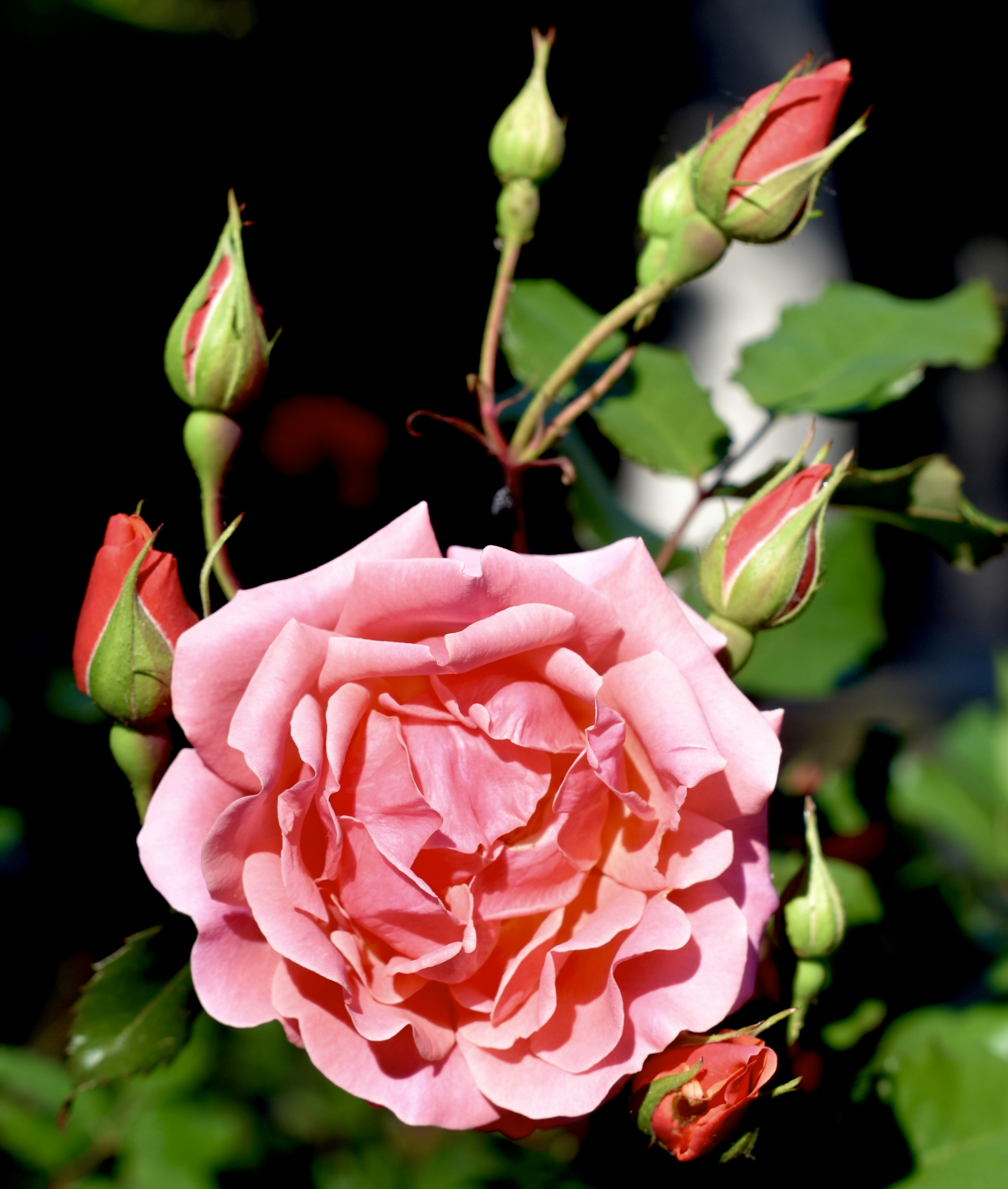 Photo by leandrea_kenzie