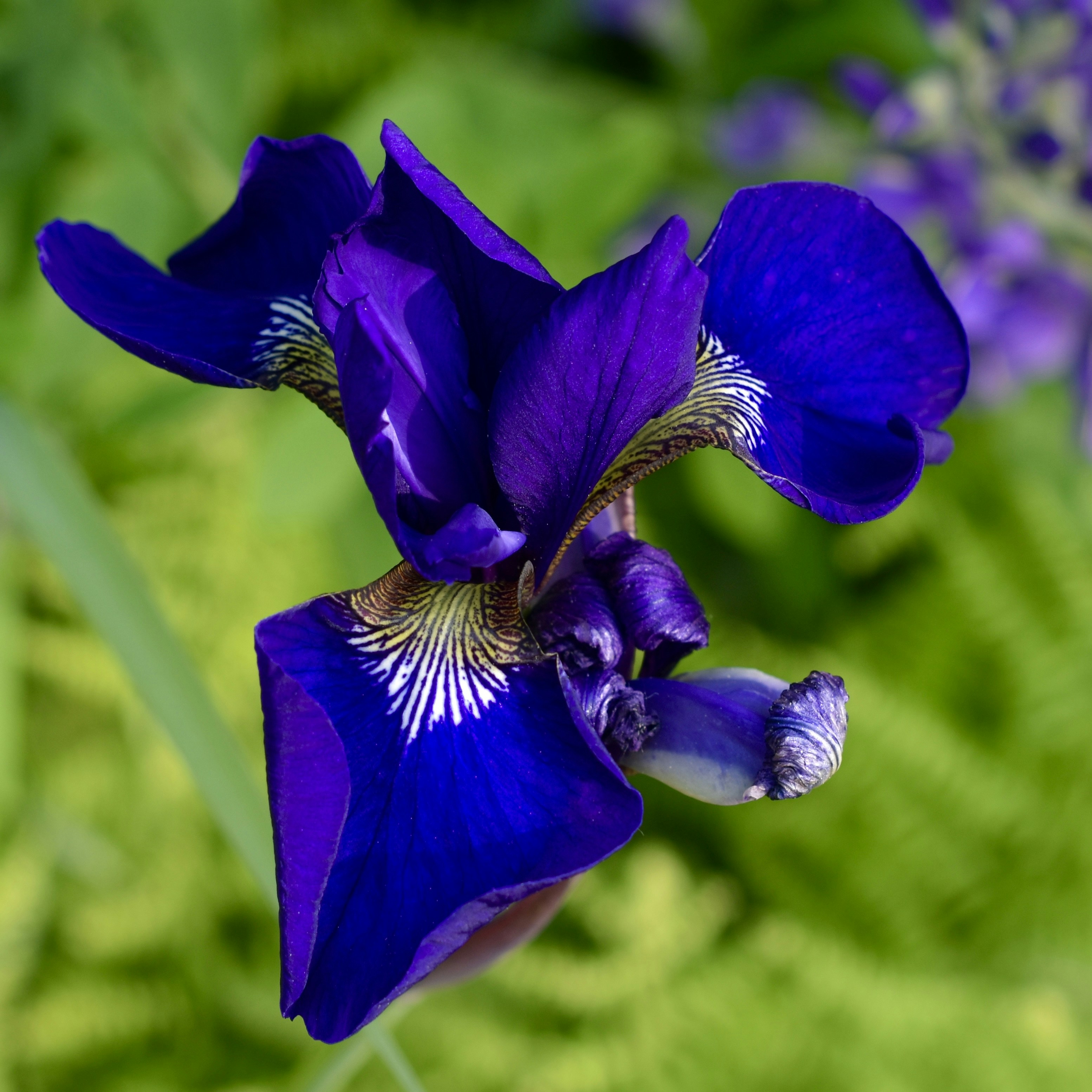 Photo by leandrea_kenzie