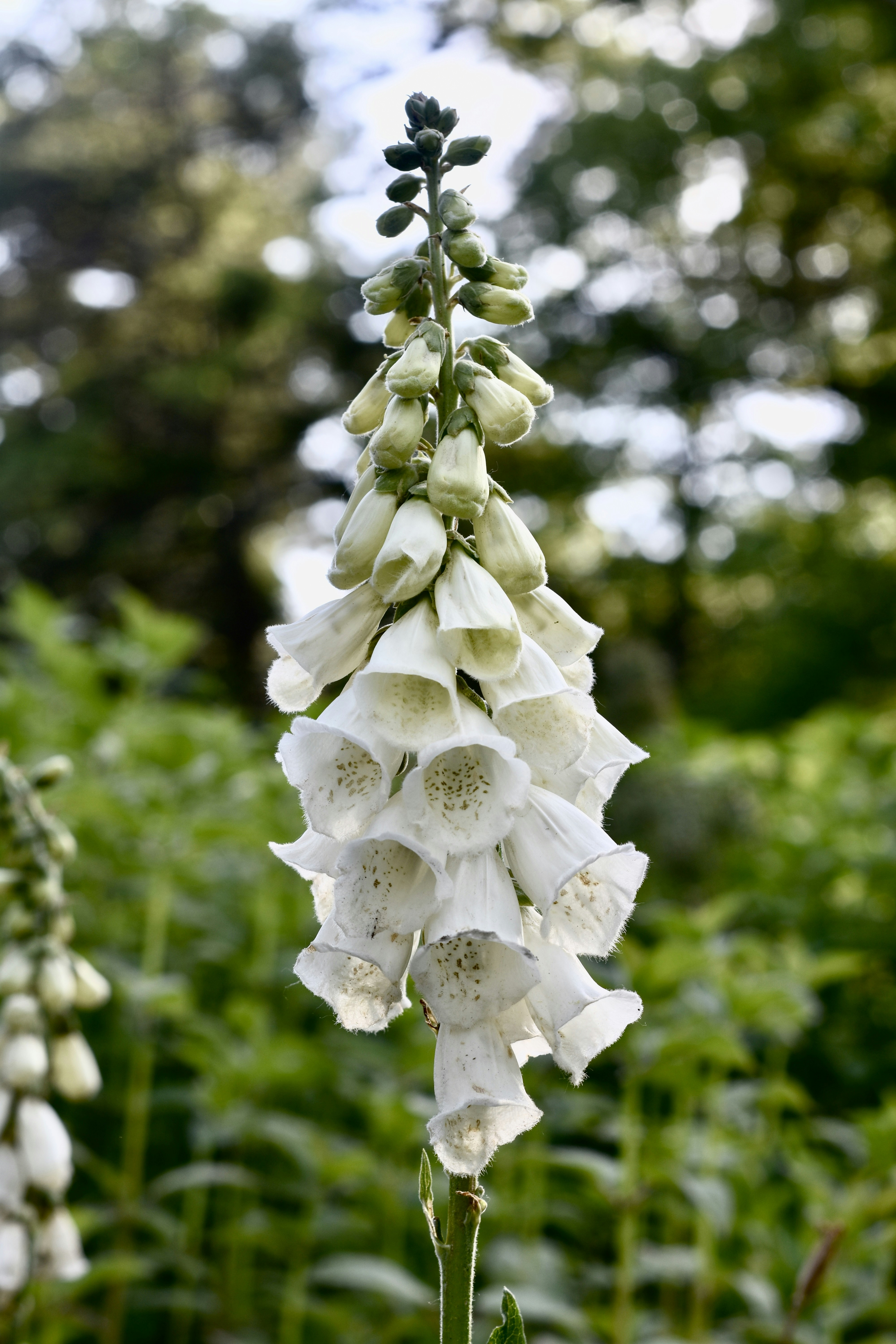 Photo by leandrea_kenzie