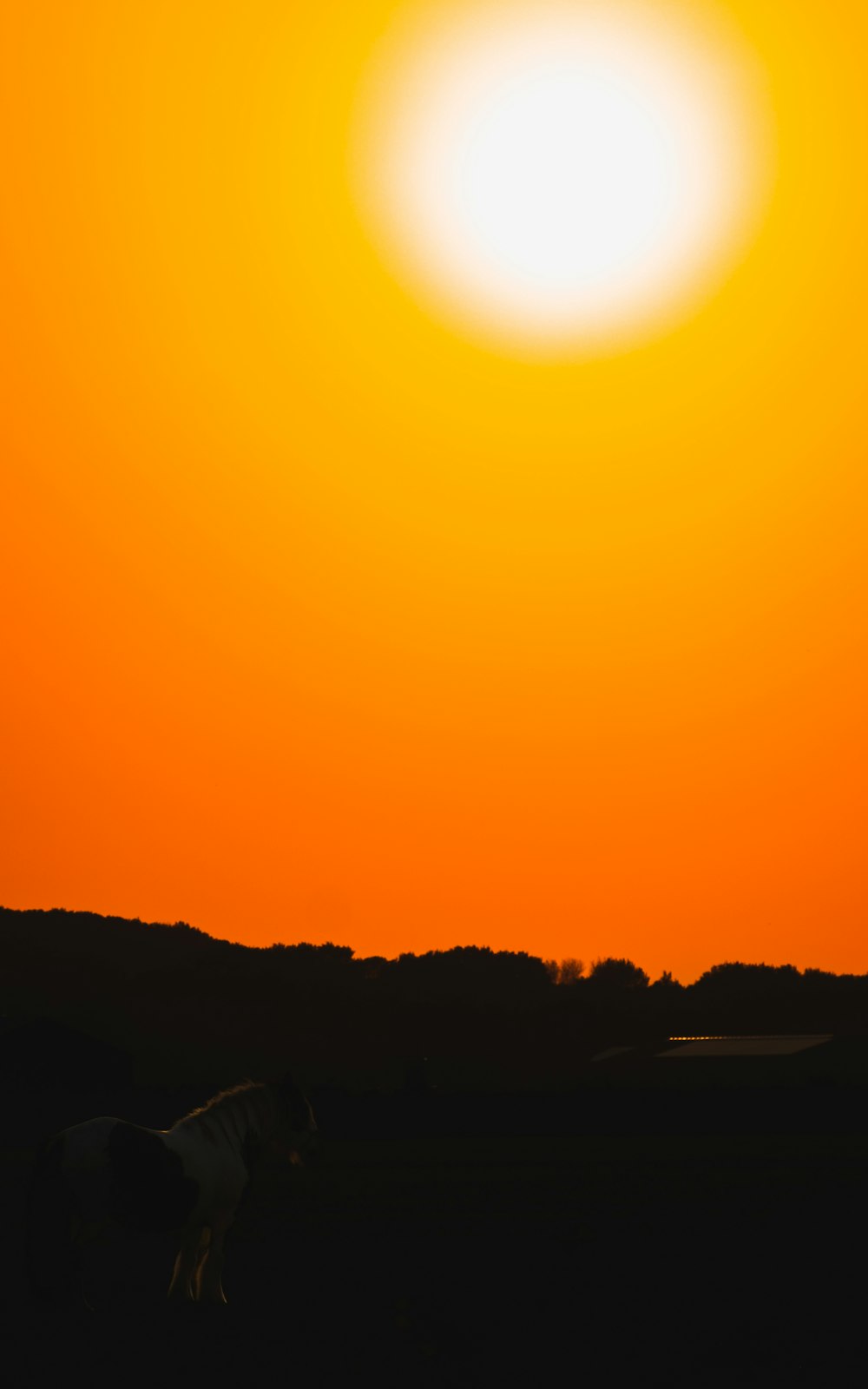 the sun is setting over a field with a horse in the foreground