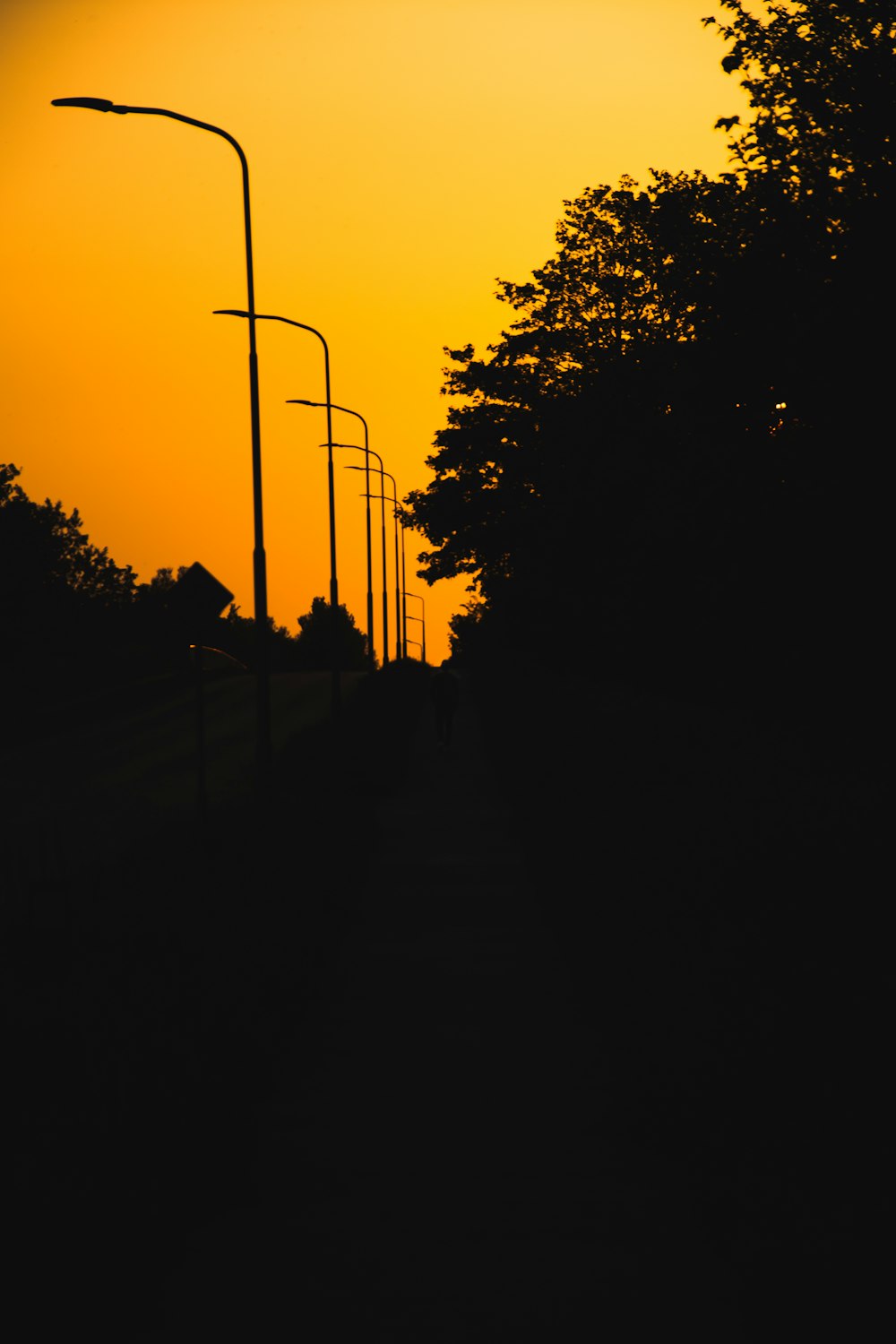 the sun is setting behind a row of street lights