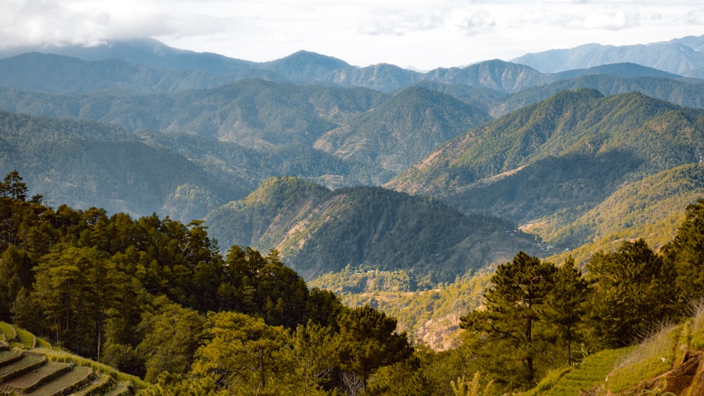 a scenic view of a mountain range with trees in the foreground