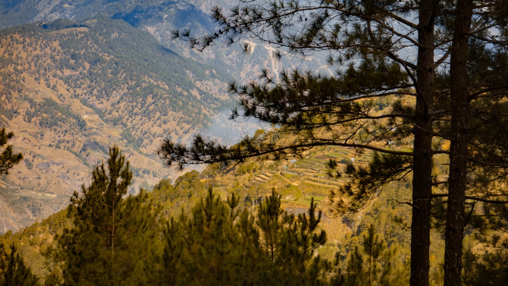 uma vista de uma cordilheira à distância