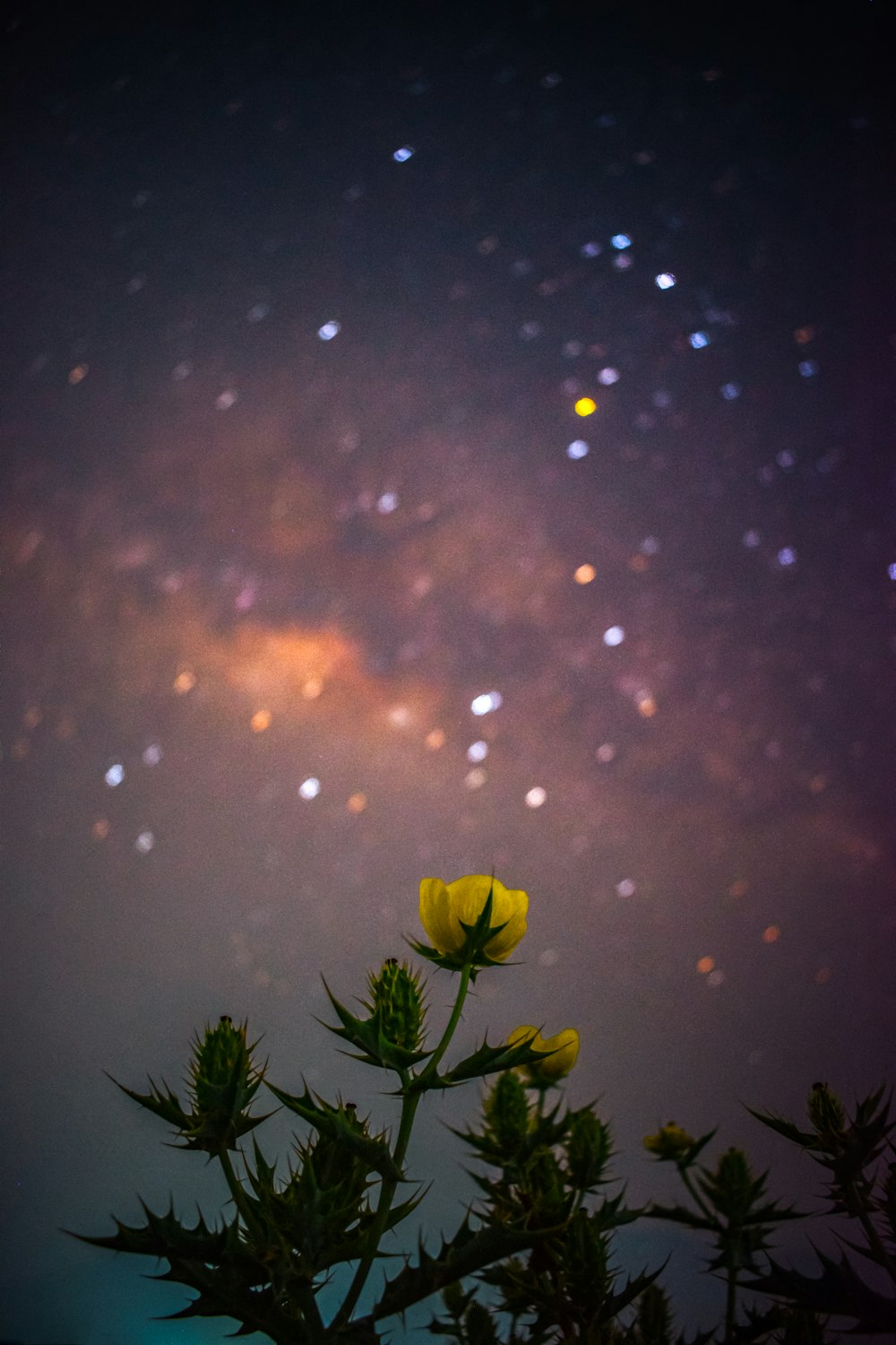 the night sky is filled with stars and a yellow flower