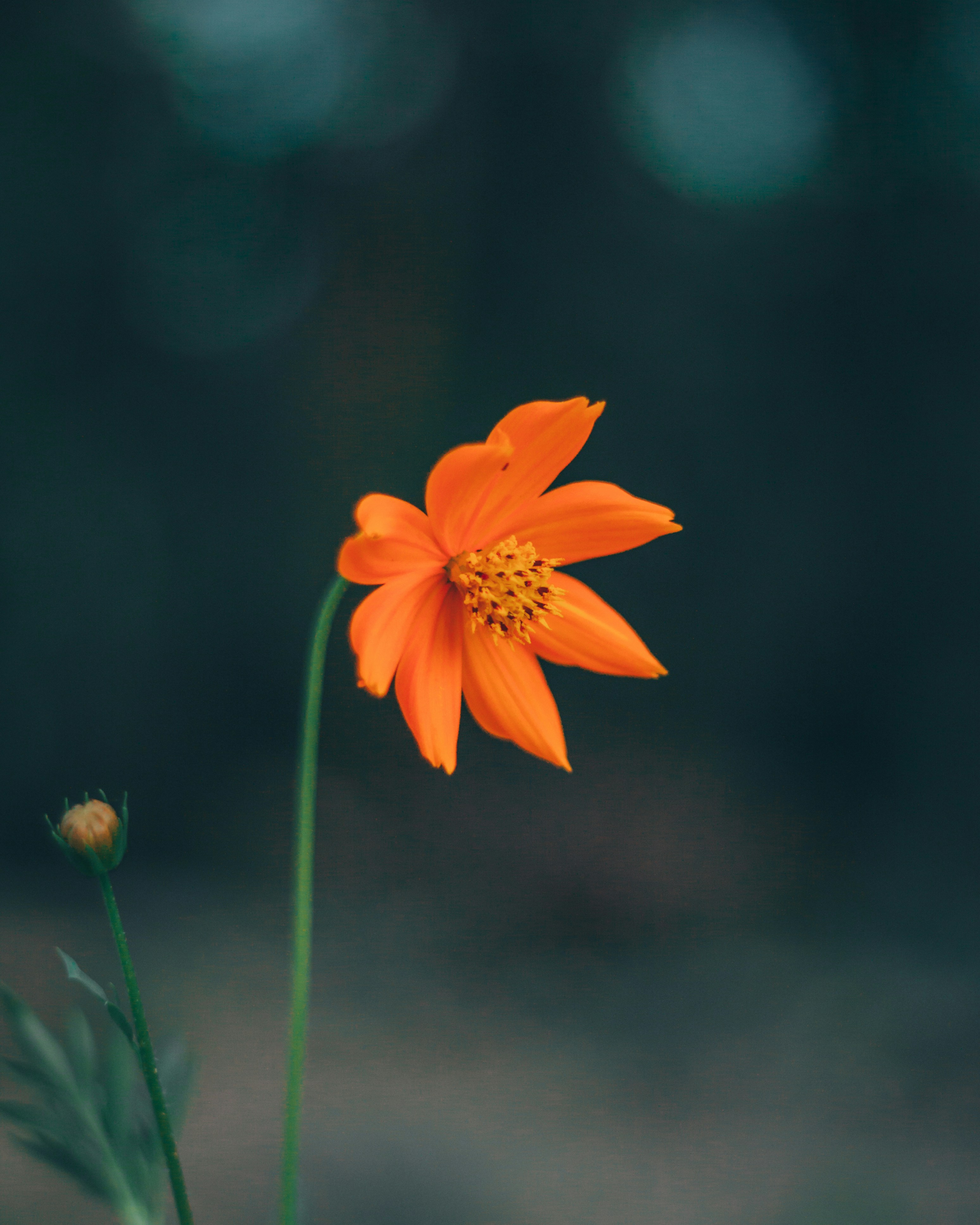 Photo by notoriousfan3012