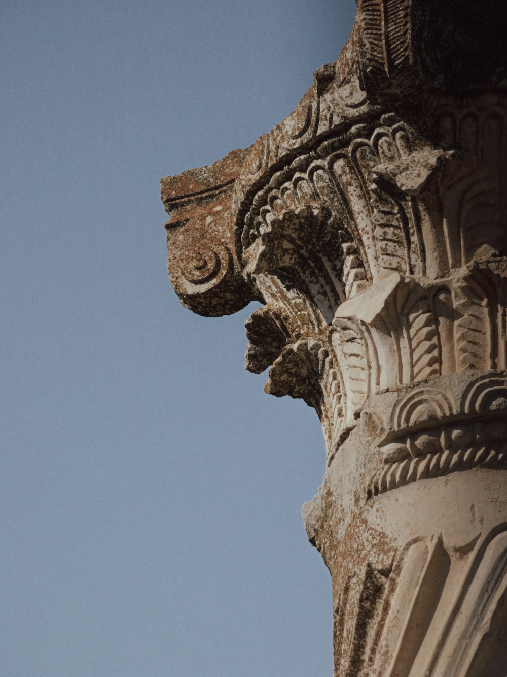 a bird is perched on top of a pillar