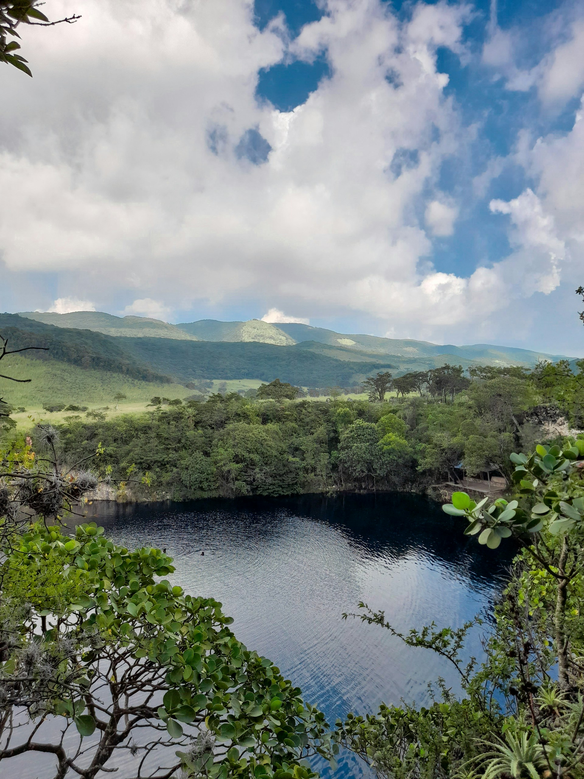 black and brown leather padded tub sofa