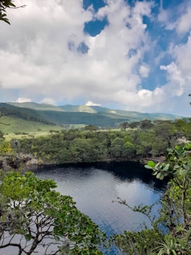 A serene natural landscape featuring a lush green forest surrounding a tranquil blue lake. The bright sky above is filled with scattered white clouds, creating a peaceful atmosphere. Dense trees and foliage frame the image, adding a touch of vibrancy.