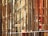 Numerous vertical metal rods, likely steel rebar, positioned closely together. Intermixed with these rods are bamboo poles, lashed together, perhaps for scaffolding or a construction project. The scene appears dense and intricate, with the warm, rust-like tones of the metal contrasting against the paler bamboo.