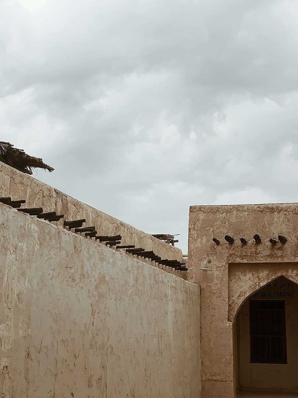 birds are sitting on the roof of a building