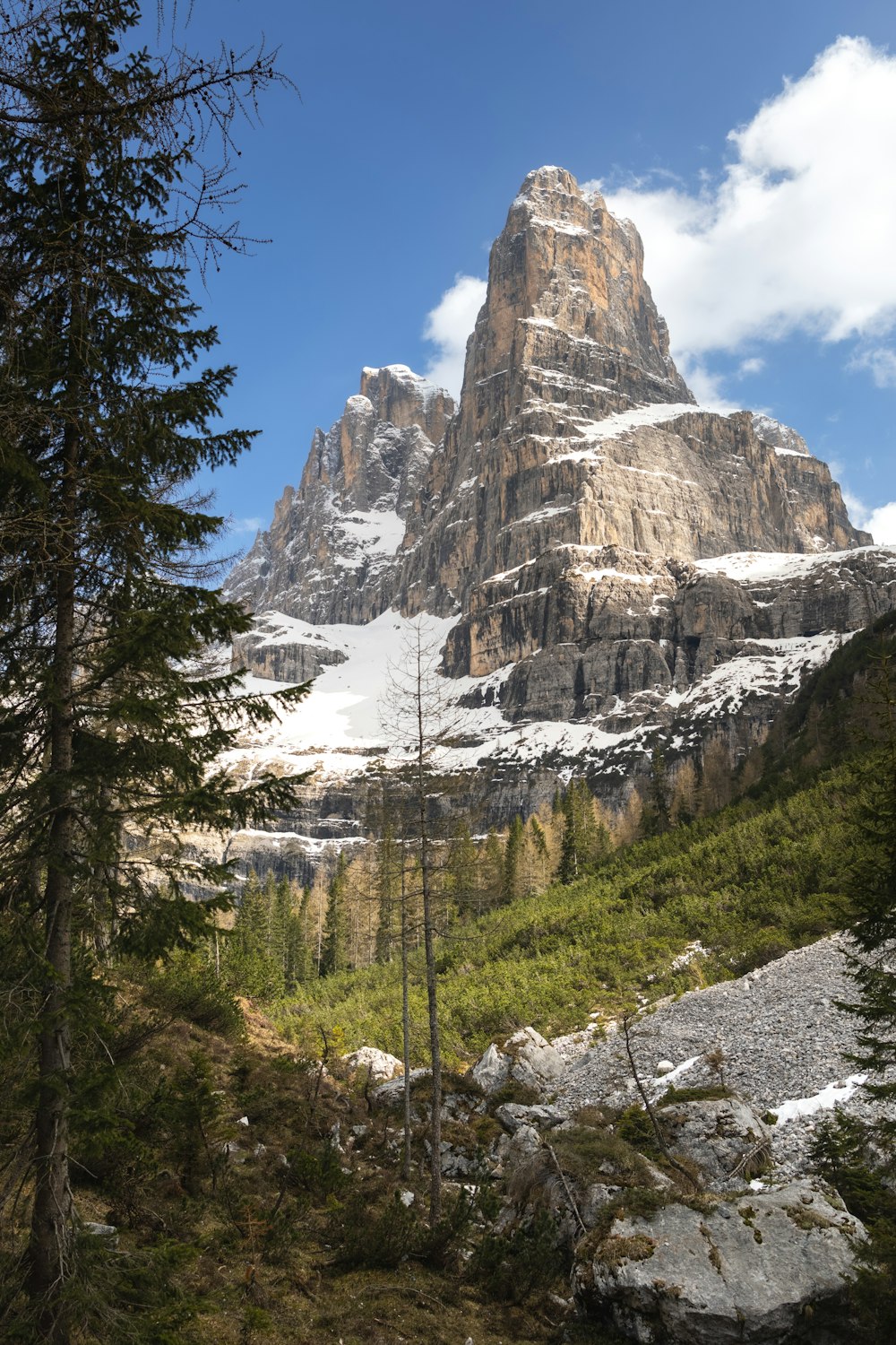 une montagne avec de la neige et quelques arbres