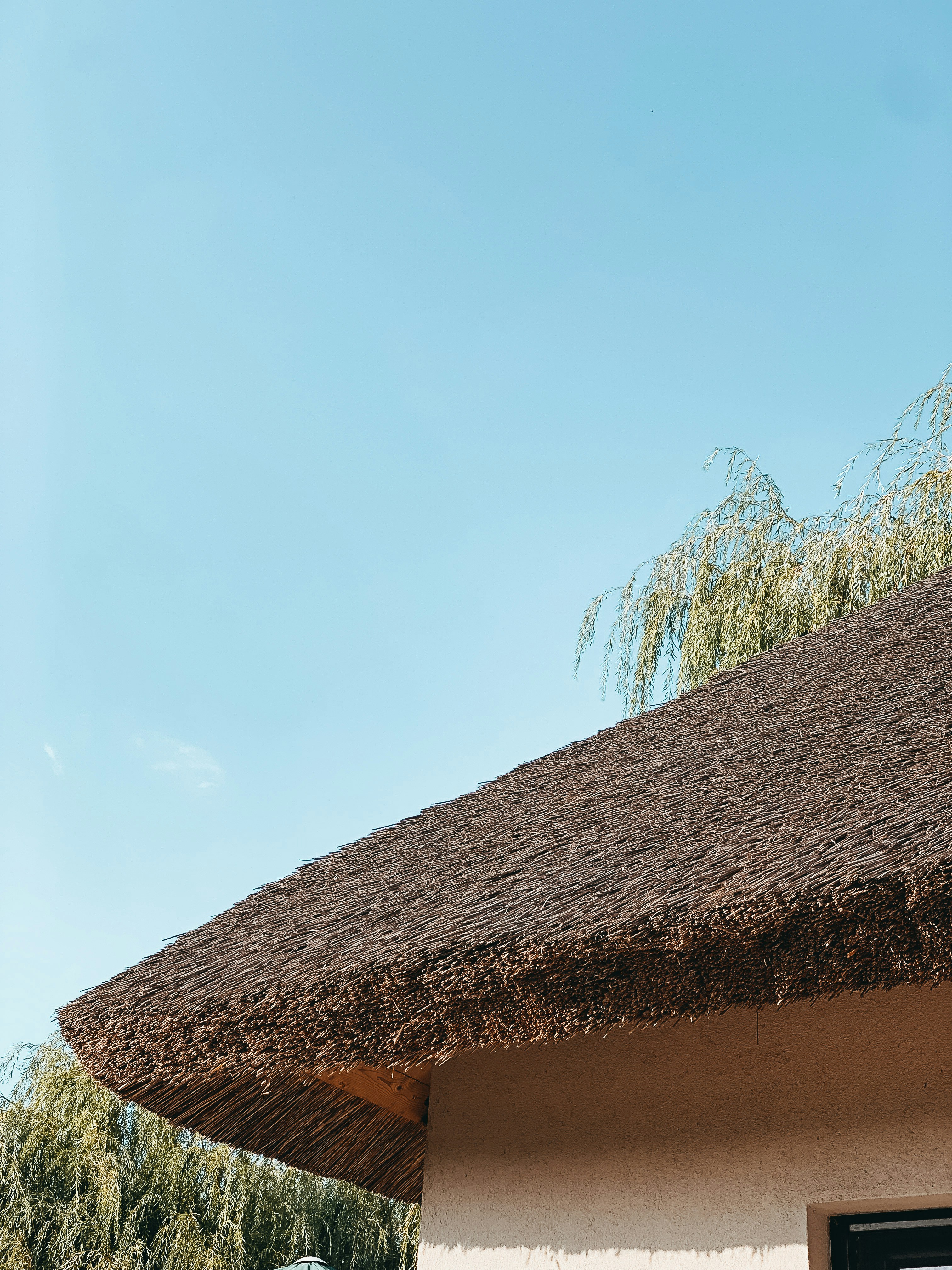 Photo by timiciucandrei